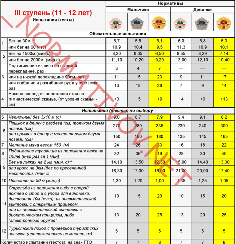 ступень ГТО для детей школьников гто 11 гто 12