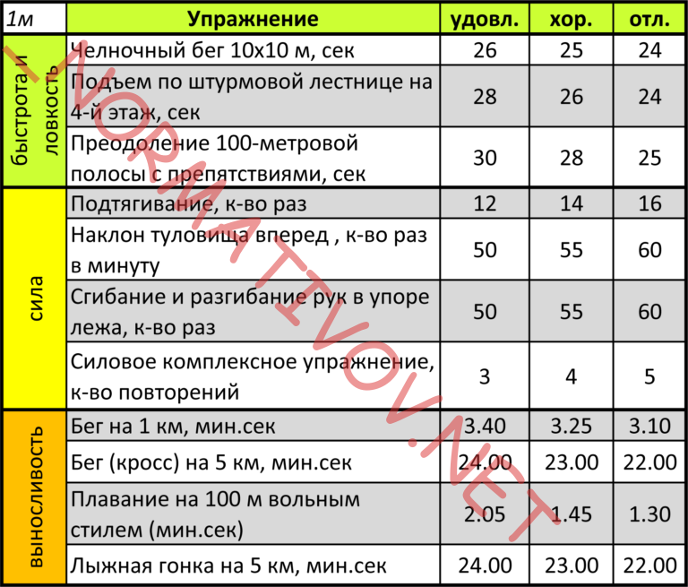 Нормативы челночного бега 10х10. Челночный бег 10х10 нормативы. Челночный бег нормативы МЧС. Нормативы челночный бег 10 по 10 МЧС. Подтягивание мчс