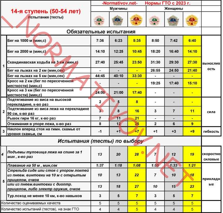 Новые нормы ГТО 2023 14 ступень