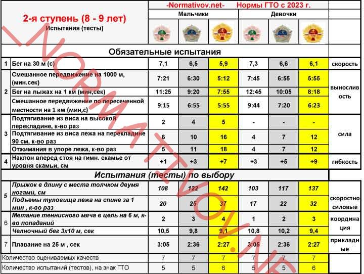 Новые нормы ГТО 2023 2 ступень