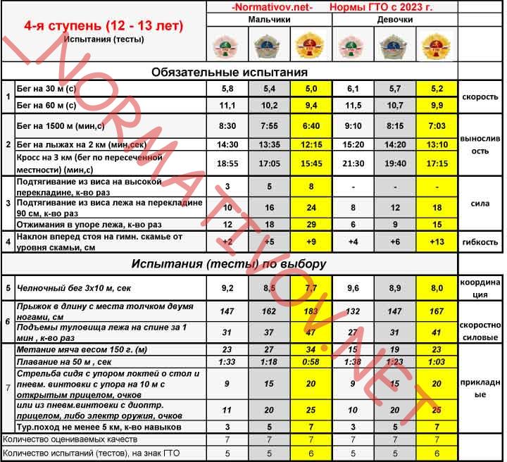 Новые нормы ГТО 2023 4 ступень