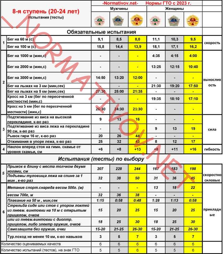 Новые нормы ГТО 2023 8 ступень